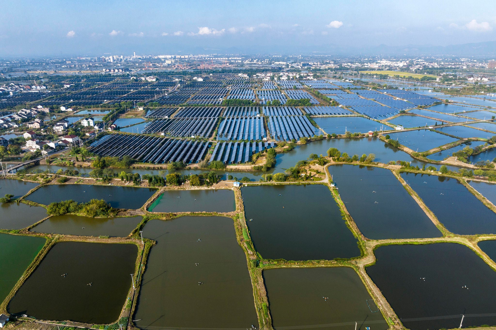 The fishery-solar hybrid system, which is one type of floating solar farms.renewable energy, carbon neutrality, clean energy, sustainable energy.